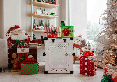 Gracia Navideña 2024 en República Dominicana: ¿Qué es y cómo funciona?